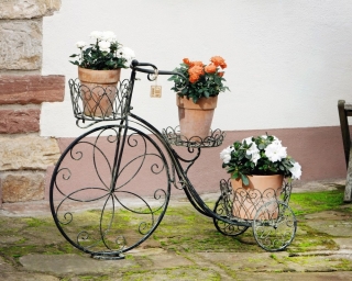 Virágtartó kerékpár