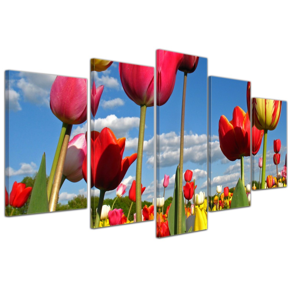 Tulipán mező A4 vászonkép többféle méretben